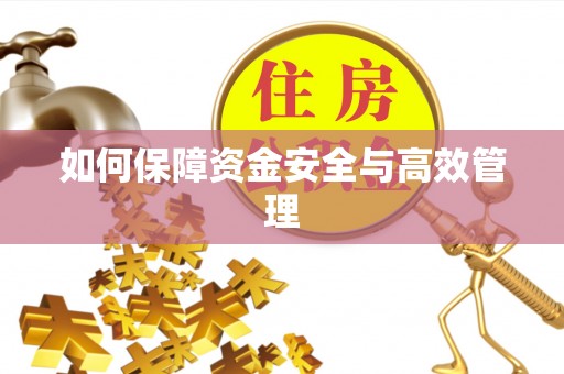 张家港如何保障资金安全与高效管理