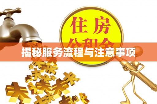 张家港揭秘服务流程与注意事项