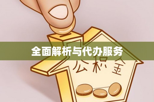 张家港全面解析与代办服务