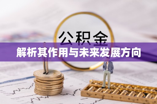 张家港解析其作用与未来发展方向
