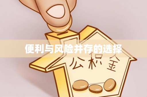 张家港便利与风险并存的选择